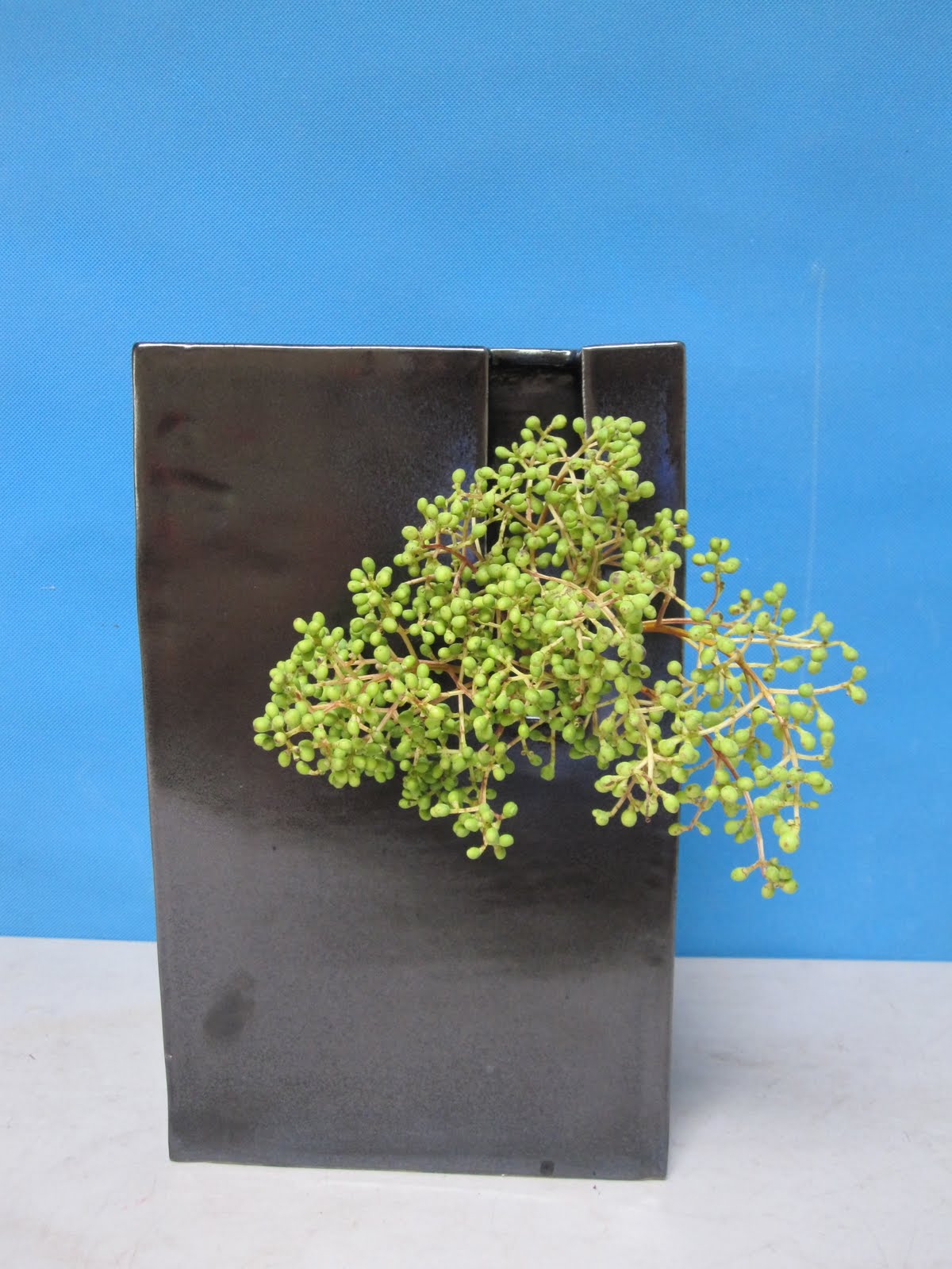 Ikebana in Desert Use of unconventional materials