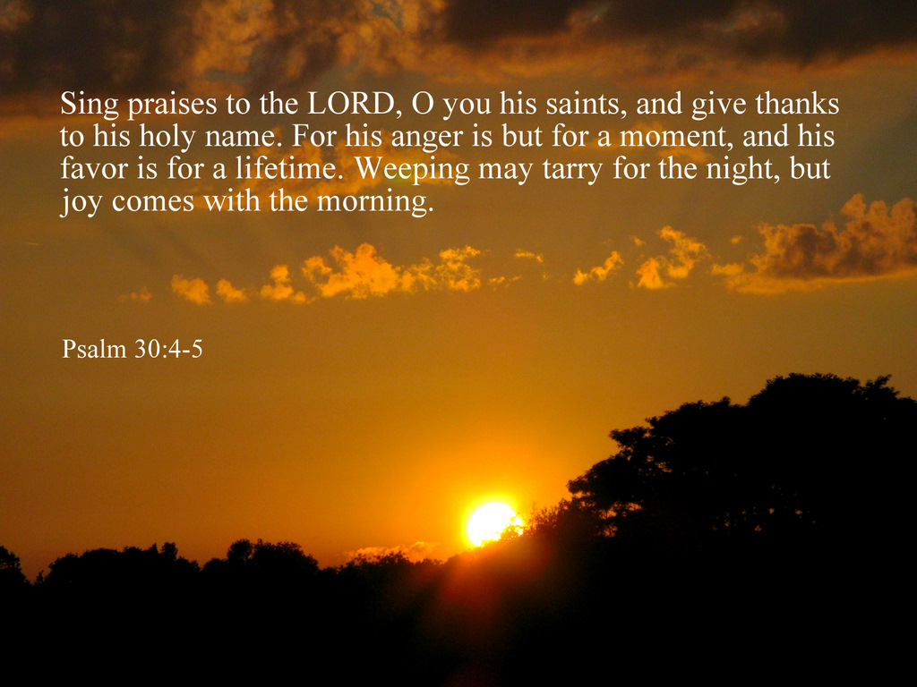 glimpses-of-creation-psalms