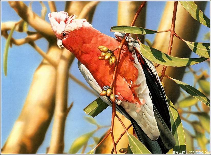 [=?ISO-8859-9?Q?tefekk=FCr_(ku=FE6)-786639.jpg?=]