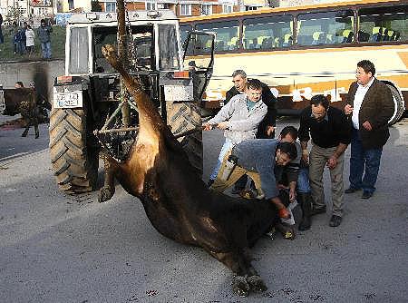 [fft22_mf80388-706831.jpg]