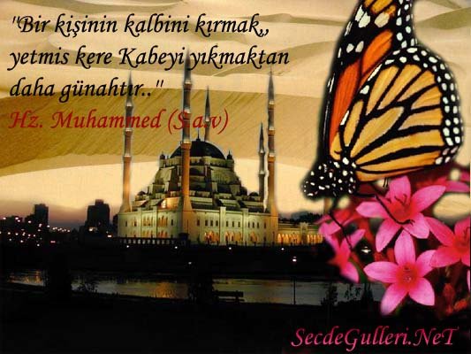 [2879_1062030635952_1381546105_30147053_6532051_n-711876.jpg]