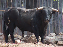 TORO DE ANGELA RODRIGUEZ DE ARCE Nº 58 G 2 NOMBRE FRUTERO