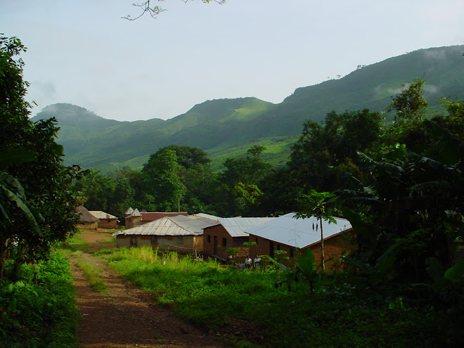 Village near Falessade