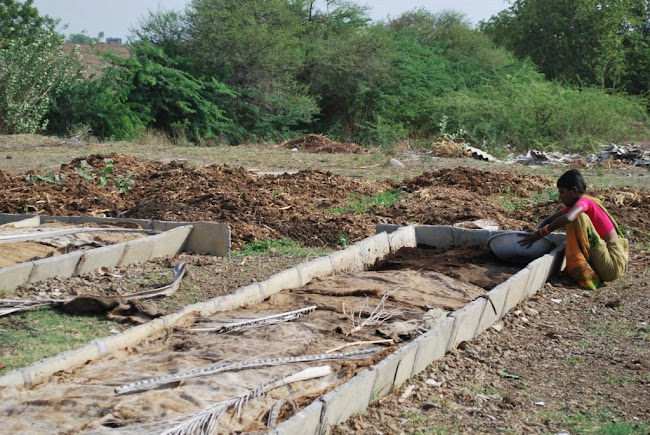 Dairy -wormy compost 0 (2)