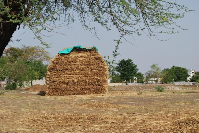Dairy-two dry grass stack (1)