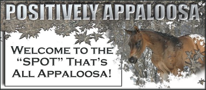 Positively Appaloosa