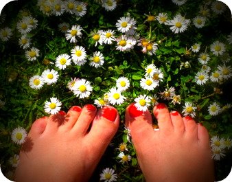 [daisy+toes.jpg]