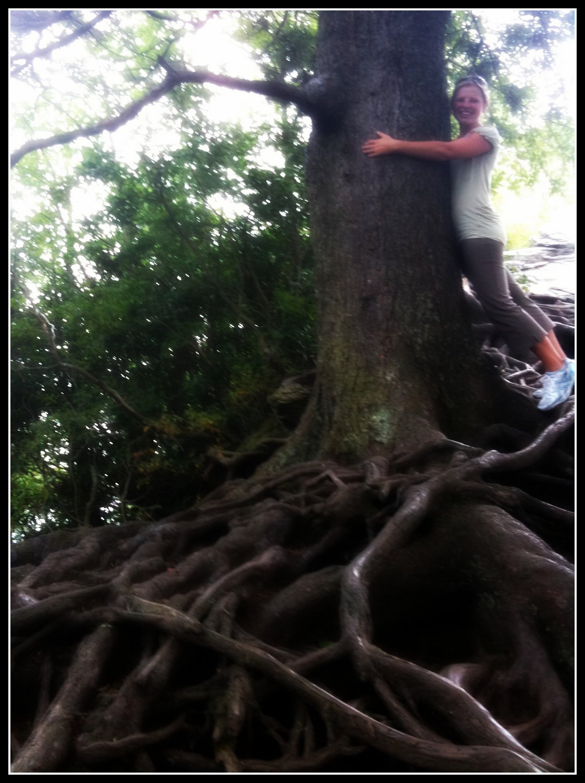 [tree+hugger.jpg]