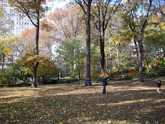 NYC Central Park