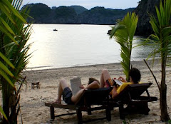 Monkey resort - catba - vietnam