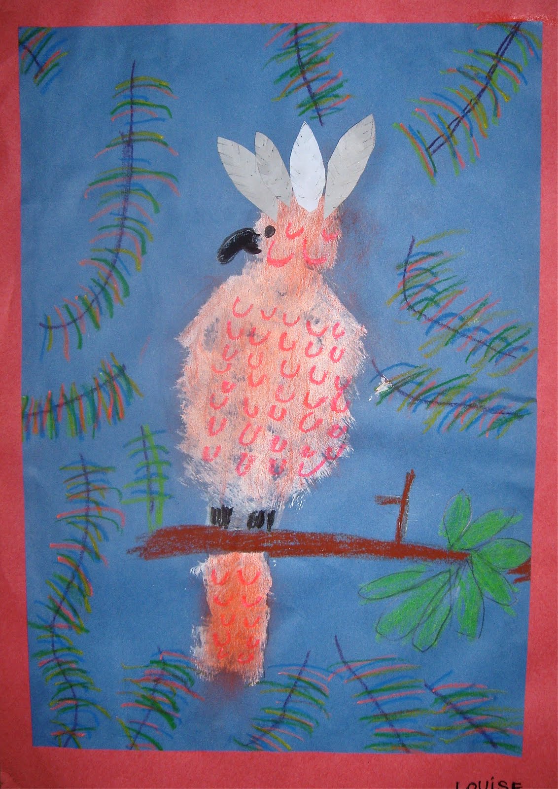 Use Your Coloured Pencils: Cockatoos and Galahs.