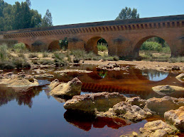 Puente Romano Niebla