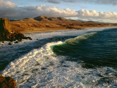 [1215705501_fuerteventura-canary-islands-spain.jpg]