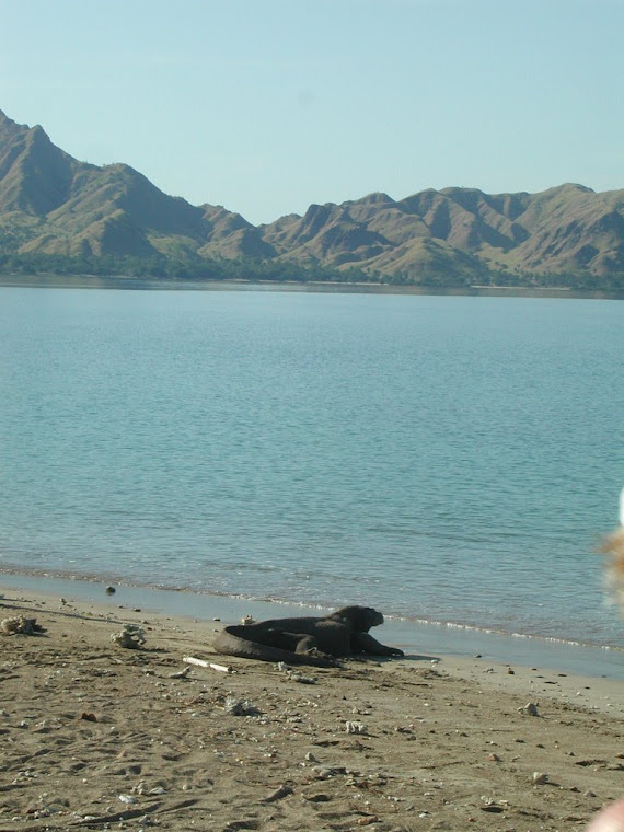 Top pics from Indonesia trip 2008