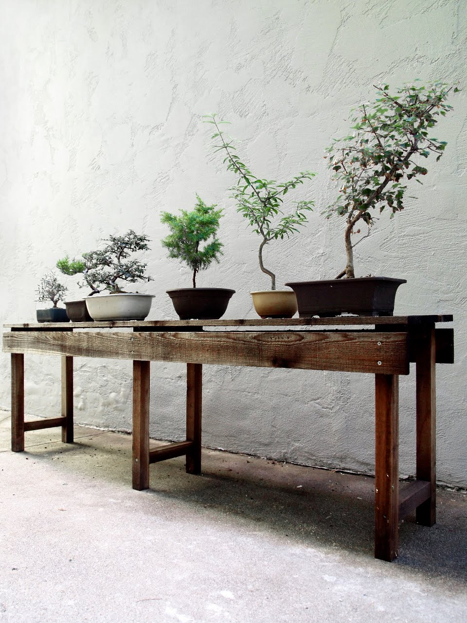 The SR Planting Table | Root Simple