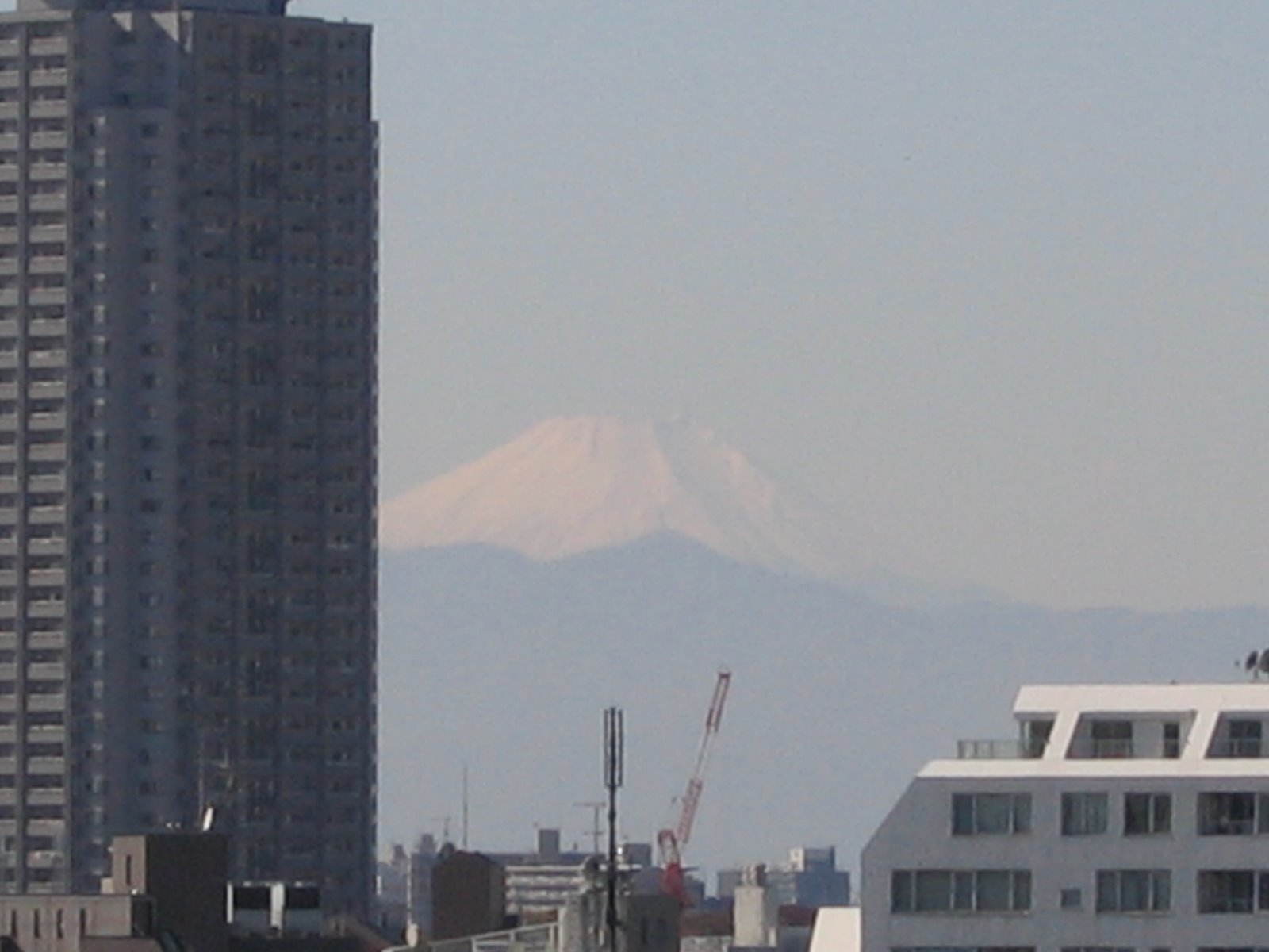 [Nov+12+(Mon)+007.jpg]