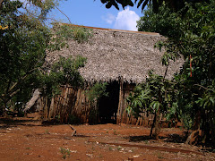 Vivienda típica del Aguacate, Mpio Hueyapan de Ocampo Ver.