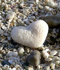 [heart.jpg]