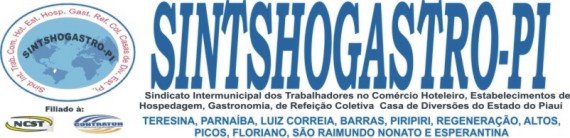 SINTSHOGASTRO-PI