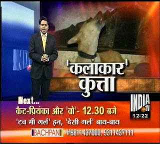 India Tv Official: Harmonium Bajane wala Desi Kutta