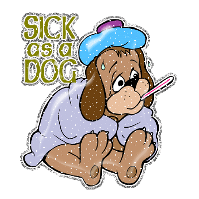 Aerosmith: Sick as a Dog
