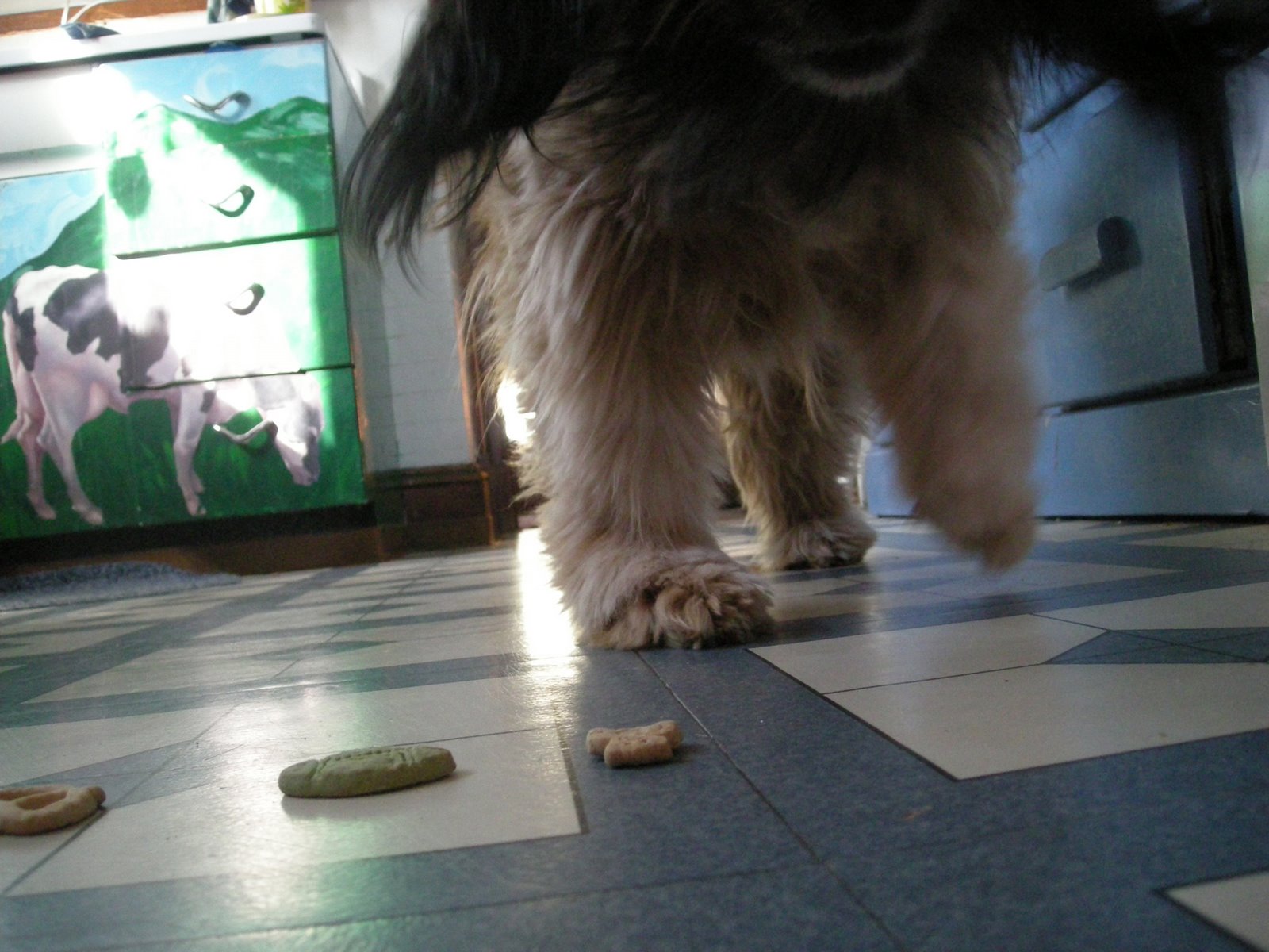 [making+the+choice+smaller.jpg]