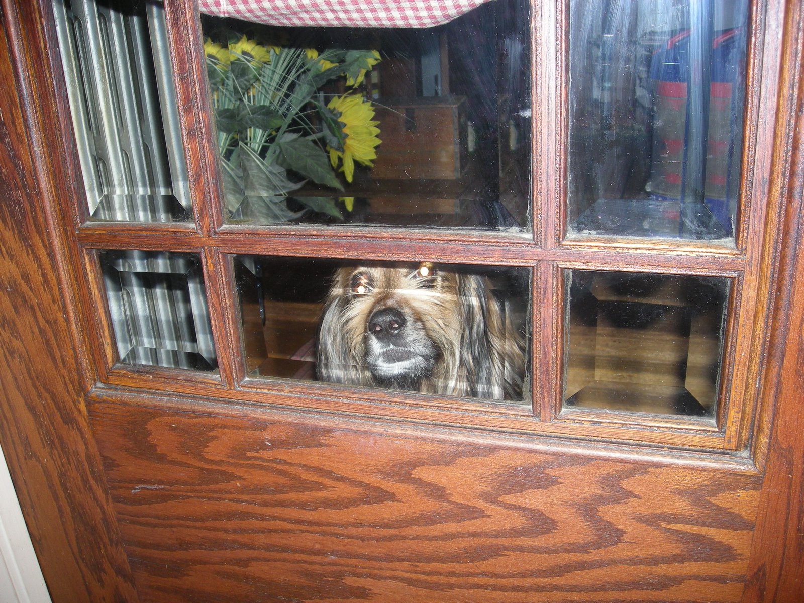 [looking+out+door+2008.JPG]