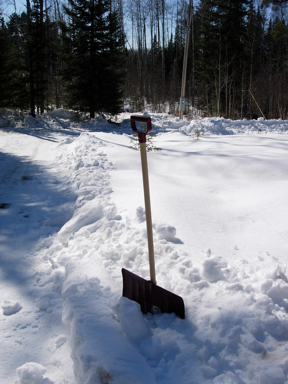[Shovel+In+Snow.JPG]