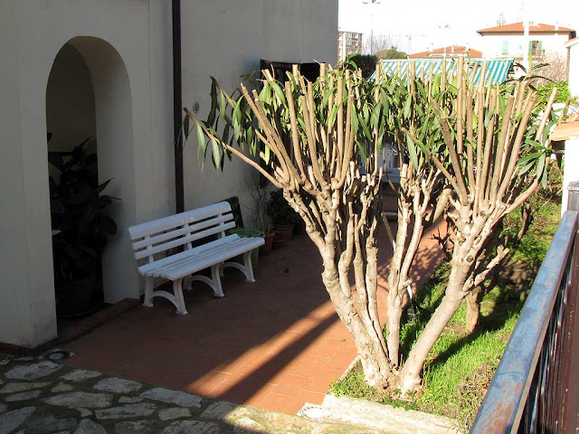Bench in a private garden, Livorno