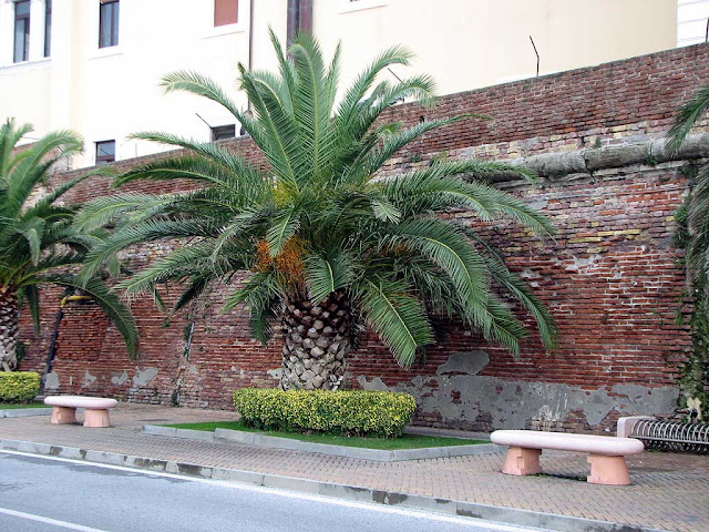 Benches inside the Porto Mediceo, Livorno