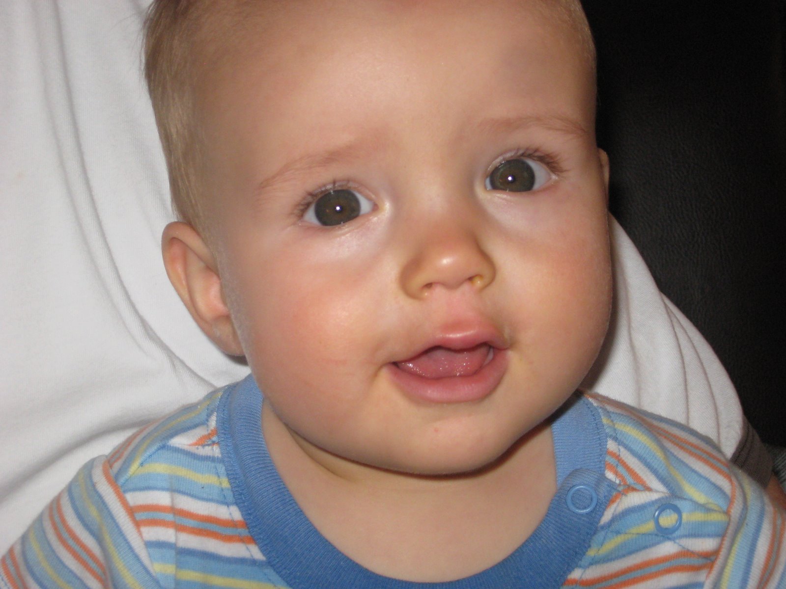 fatty+photos,+Way+Fruit+Farm+026.jpg (image)