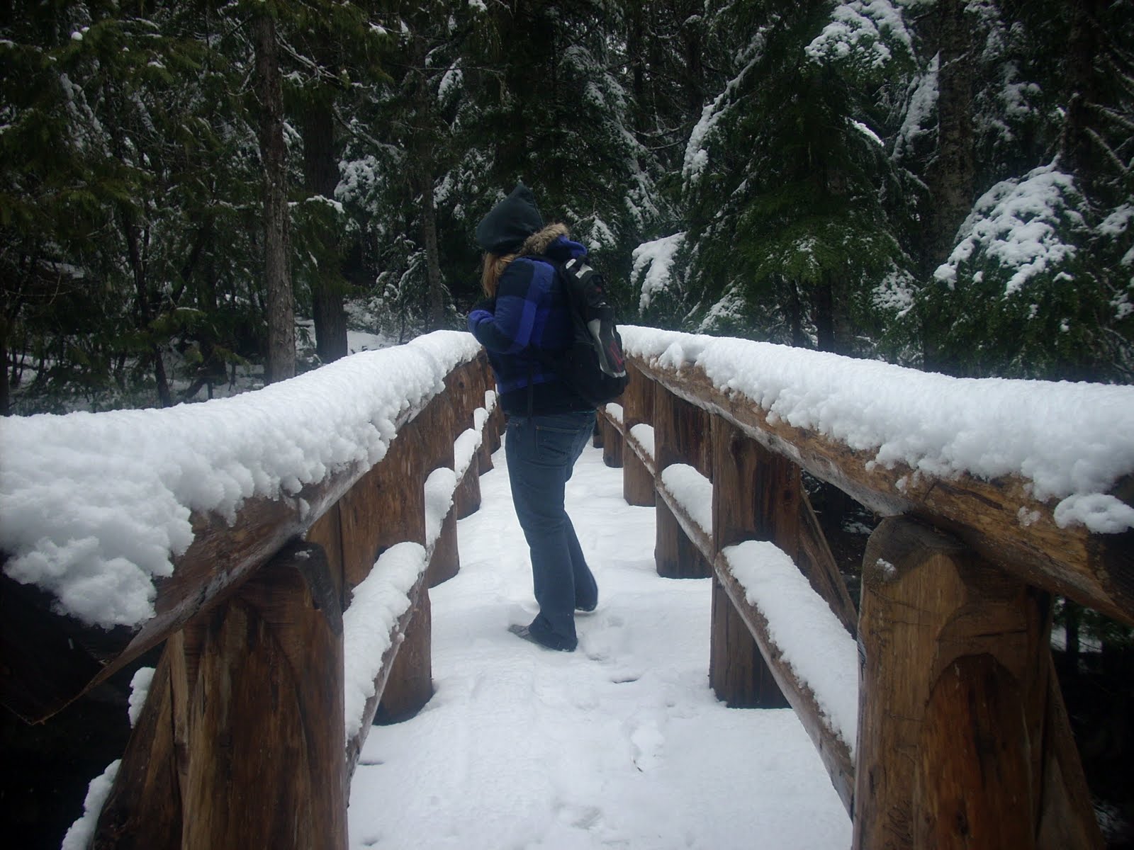 The Washington State Chronicles Christine Falls / Rampart Ridge
