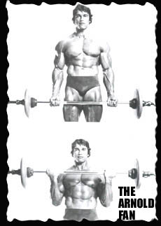 barbellcurl.jpg