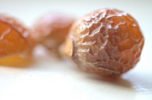 [soapnuts4.jpg]