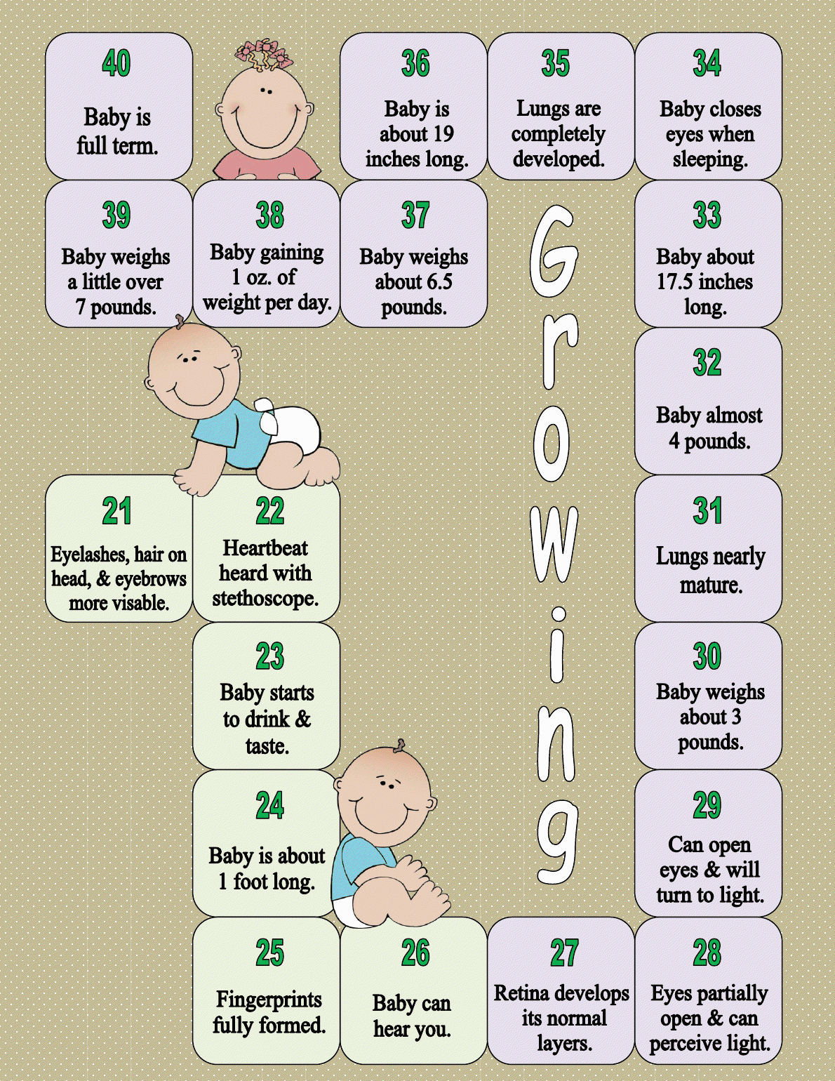 [GrowingGameBoard2.png]