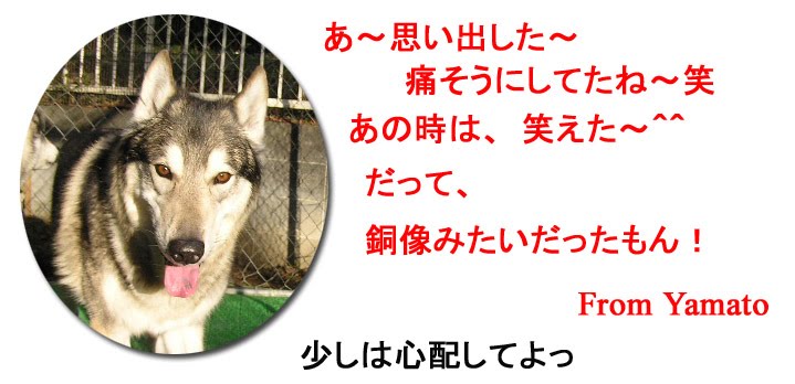 [1220.jpg]