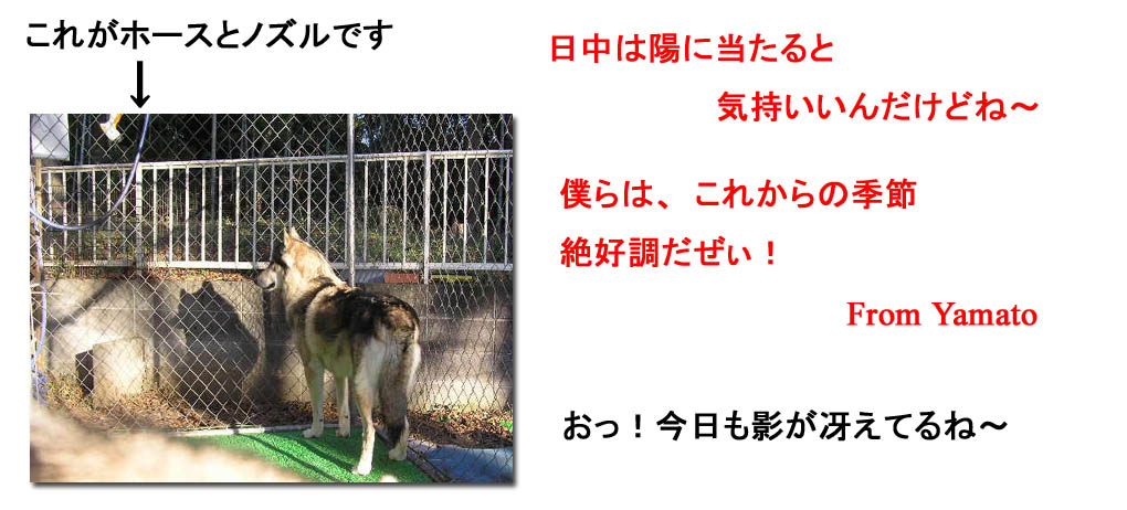 [1223.jpg]