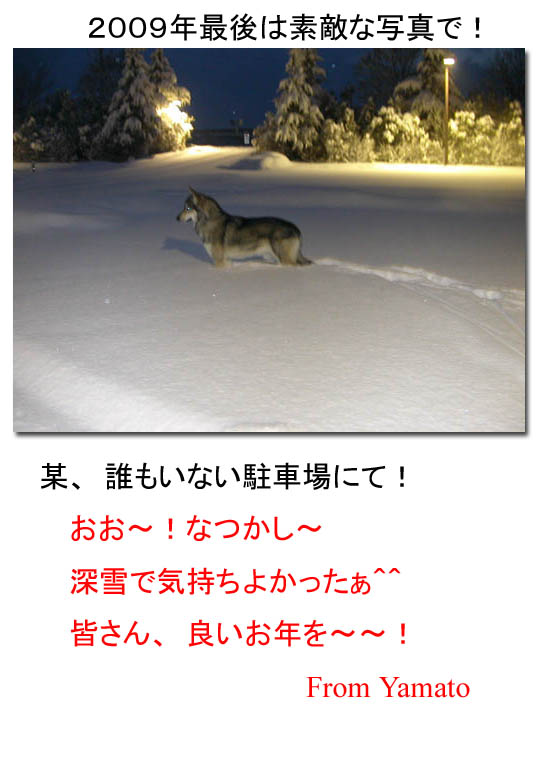 [1231.jpg]