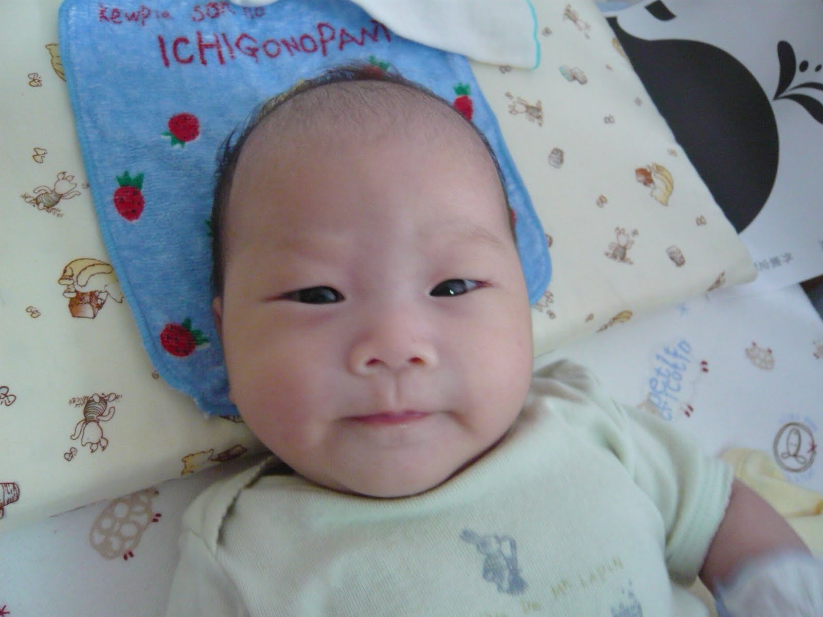 [P1000846.JPG]
