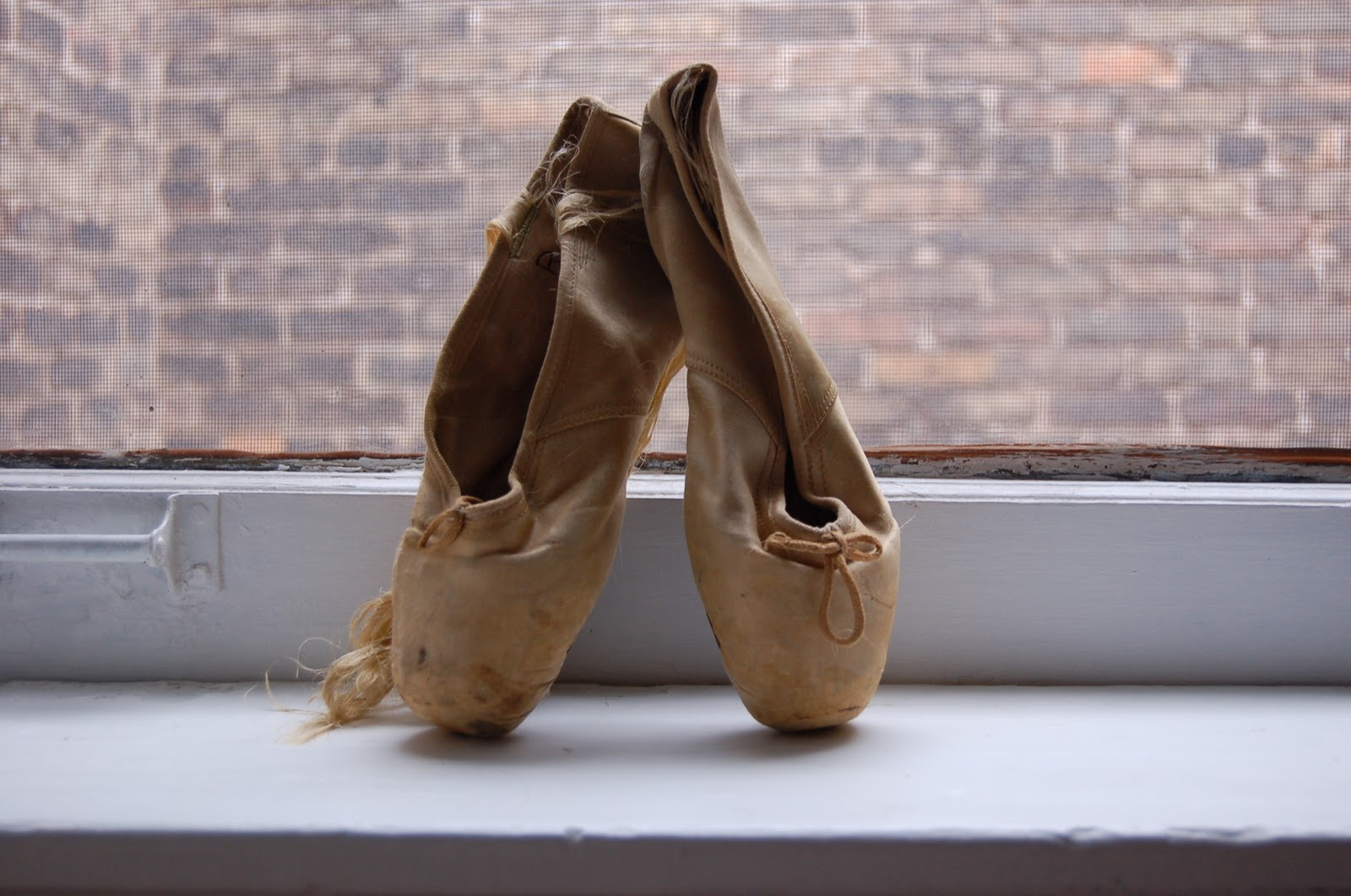 Lucke Family History Dottie�s Pointe Shoes