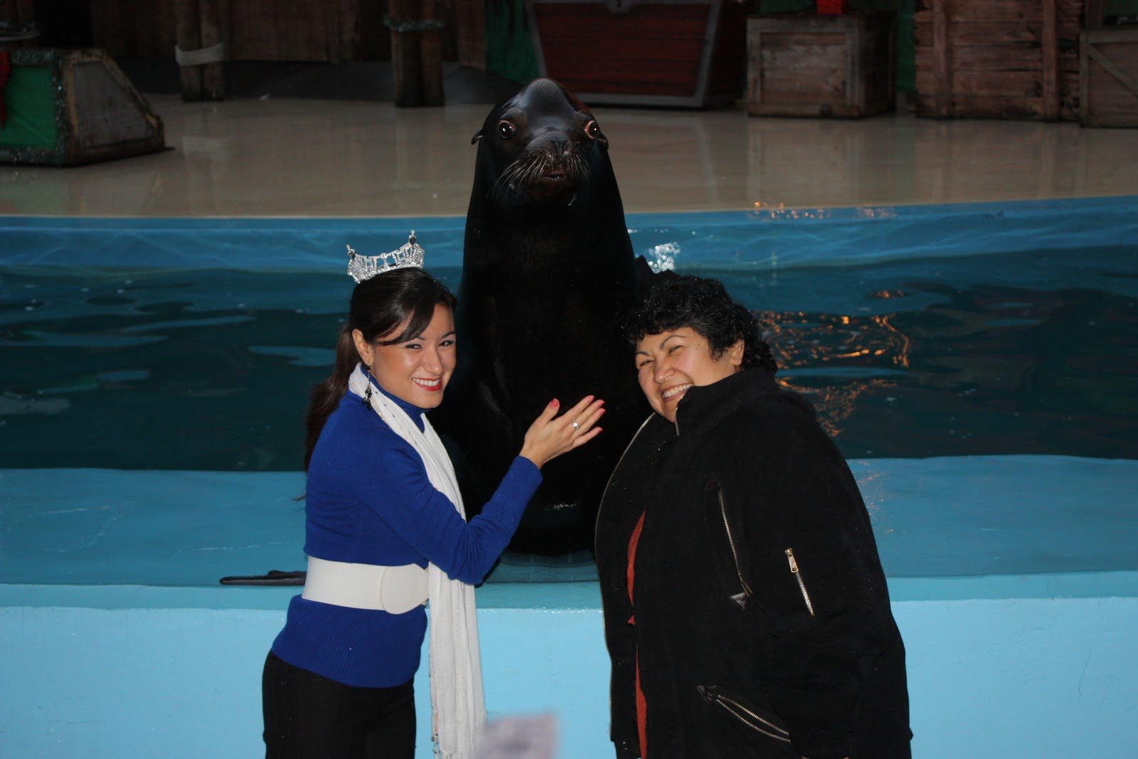 Miss Marin County 2011 Vallejo, CA Christmas Tree Lighting at Six