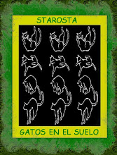 GATOS EN EL SUELO