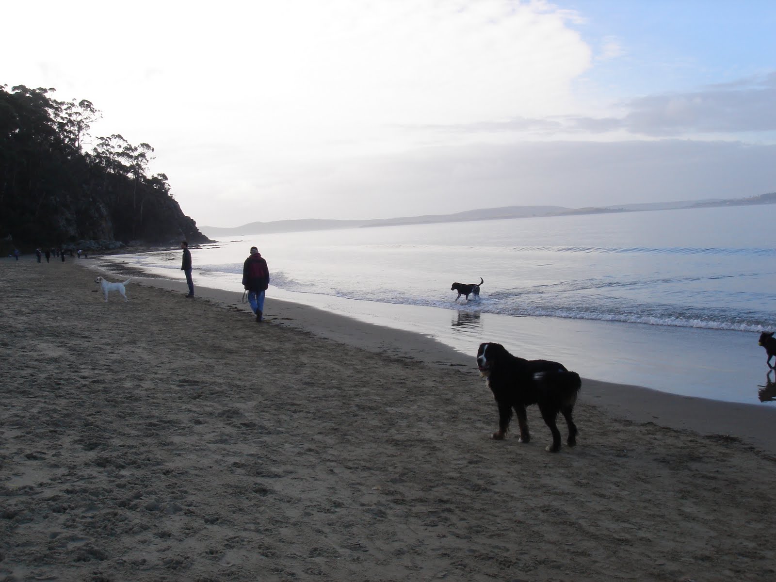 Huon View Kingston dog beach