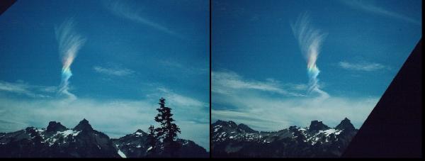 [user3_pic26_1227885675.jpg]