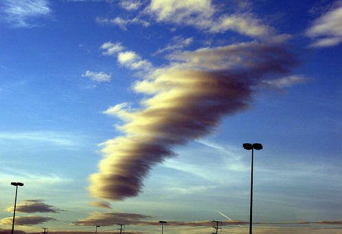 [d3c95acb3f4a091L.jpg]