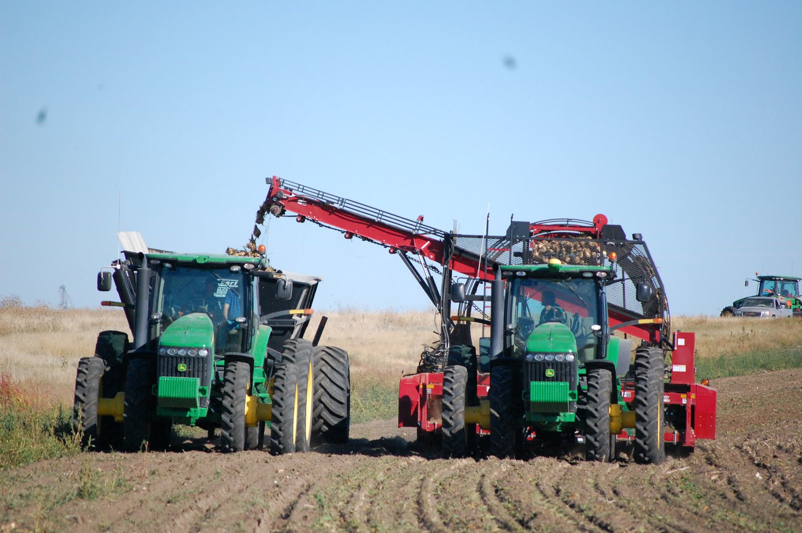 Three Sisters Sugar Beet Harvest