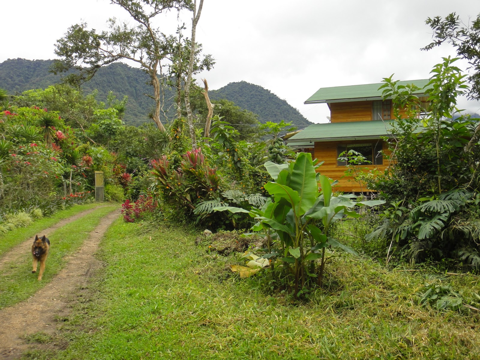 Joe's Retirement Blog Mindo, Ecuador