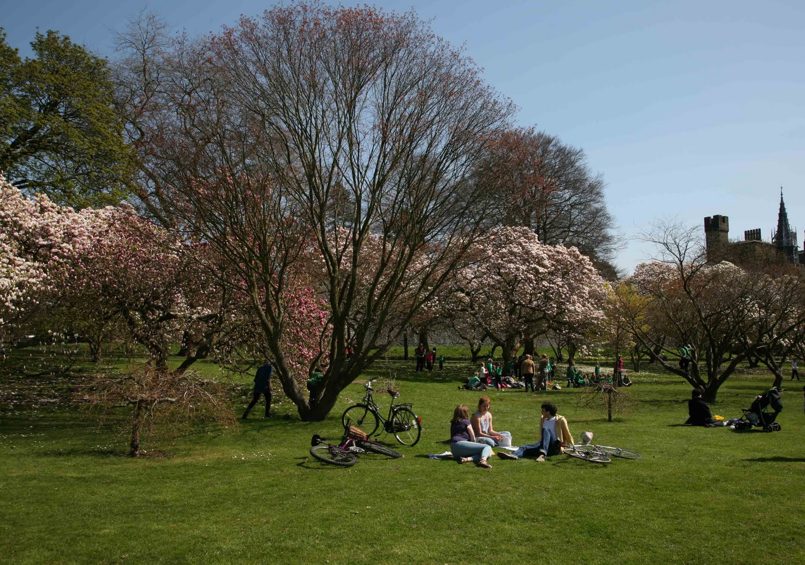 Flower Shop Stories Gaynor's Garden