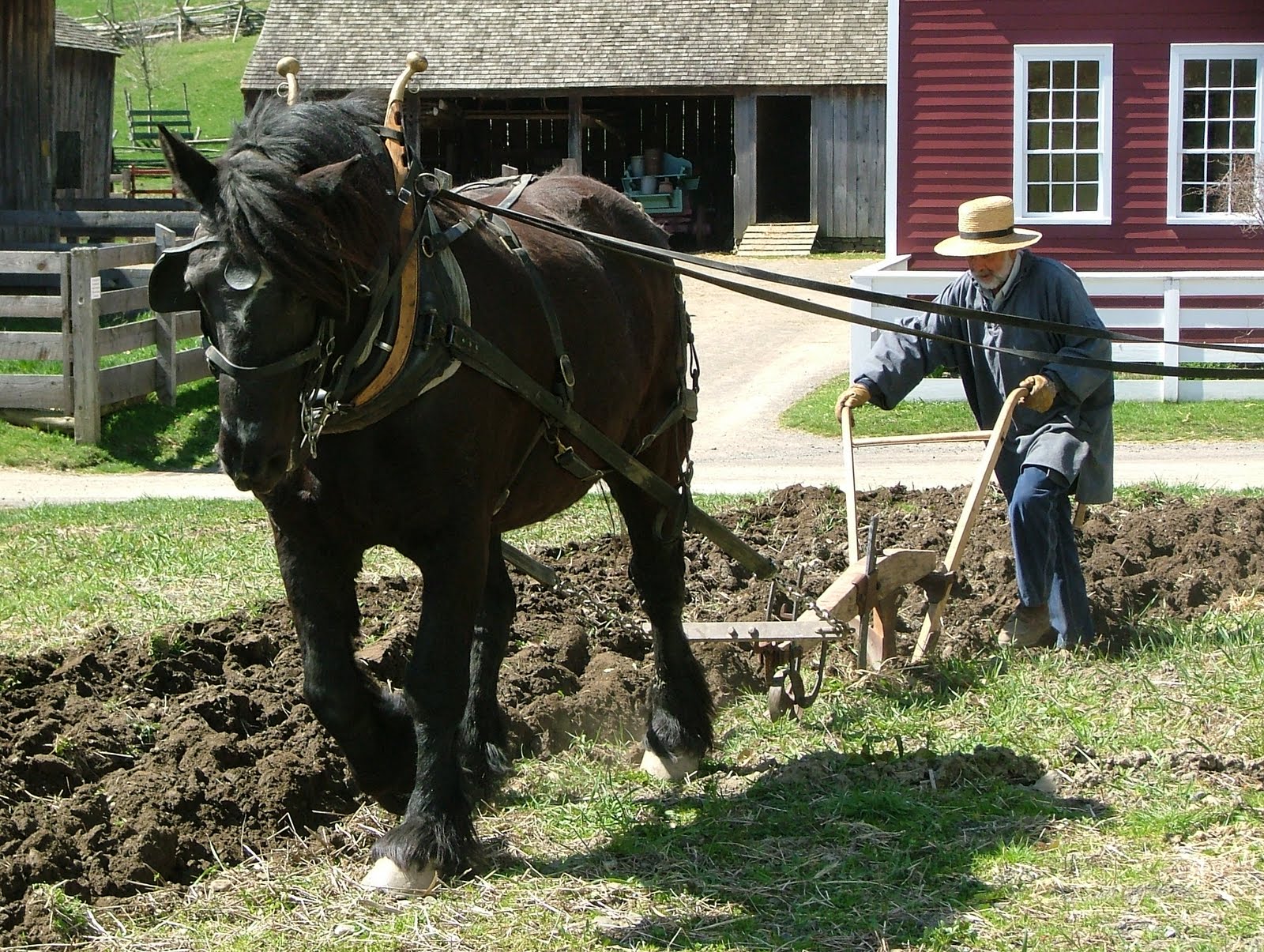 Rural Blacksmith: Fresh Tilled Soil: Using the 1830’s Horse-drawn Plow