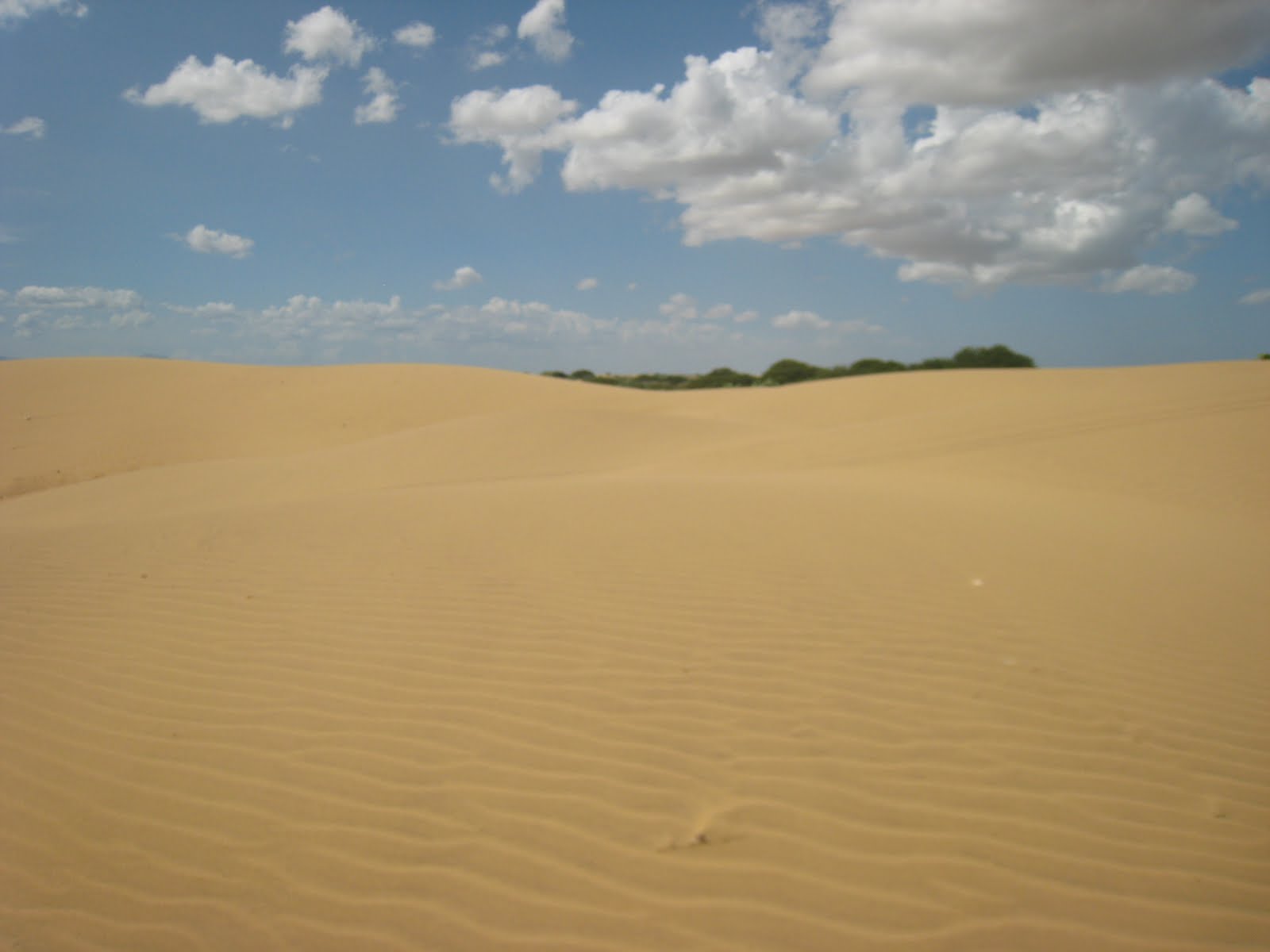 Fotografías y mas: MEDANOS DE CORO
